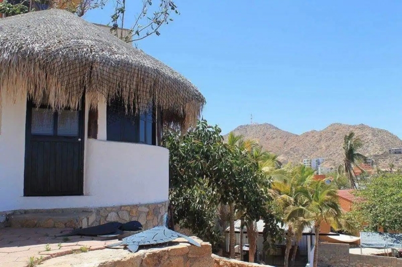 cabo centre palapa airbnbs in cabo san lucas exterior