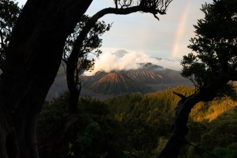 bromo