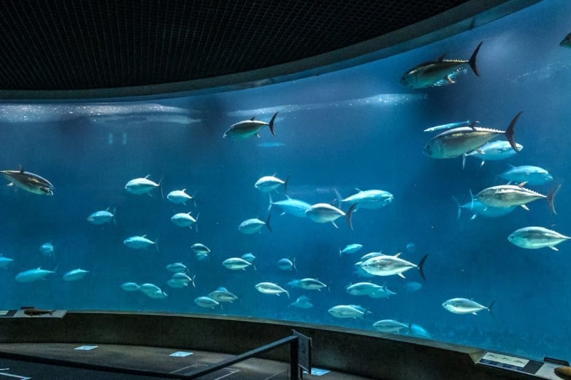 Tokyo Sea Life Park