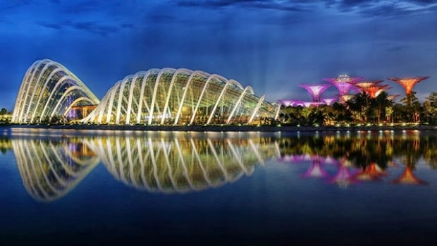 View the Supertrees up close at Gardens by the Bay with MasterCard