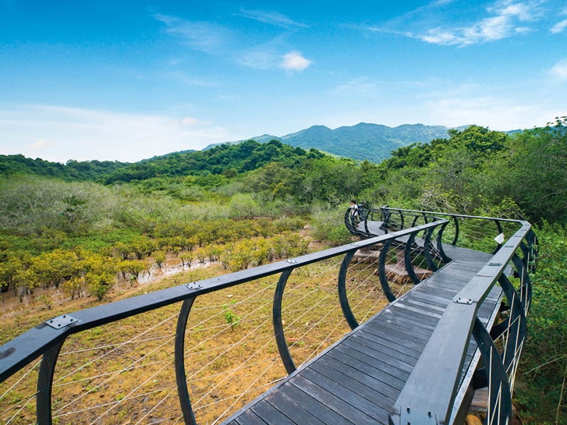 lai chi wo boardwalk