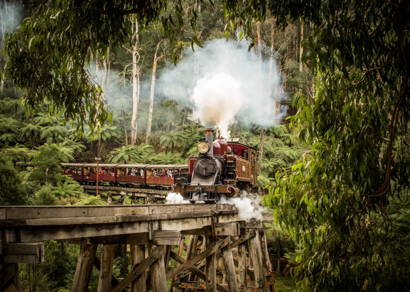 puffing billy, steam train, Dandenong Ranges
