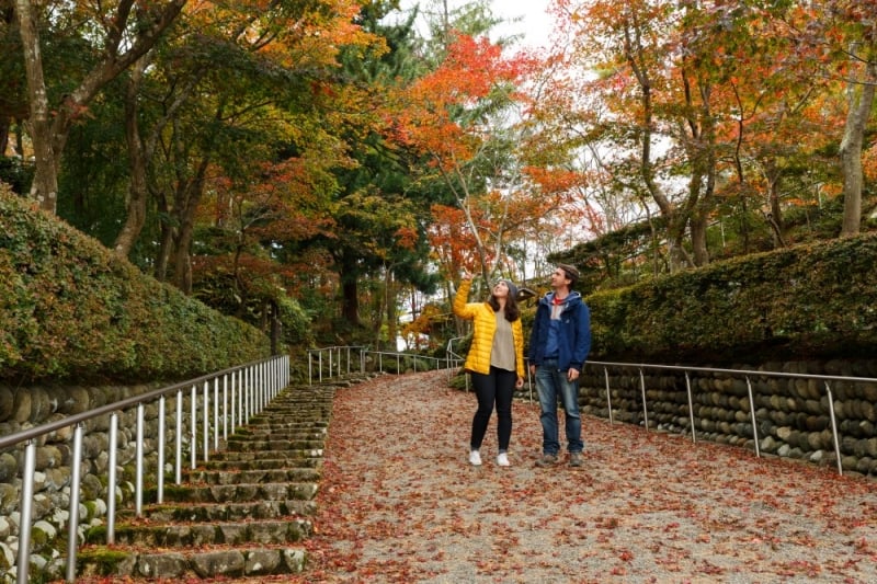 autumn in Niigata