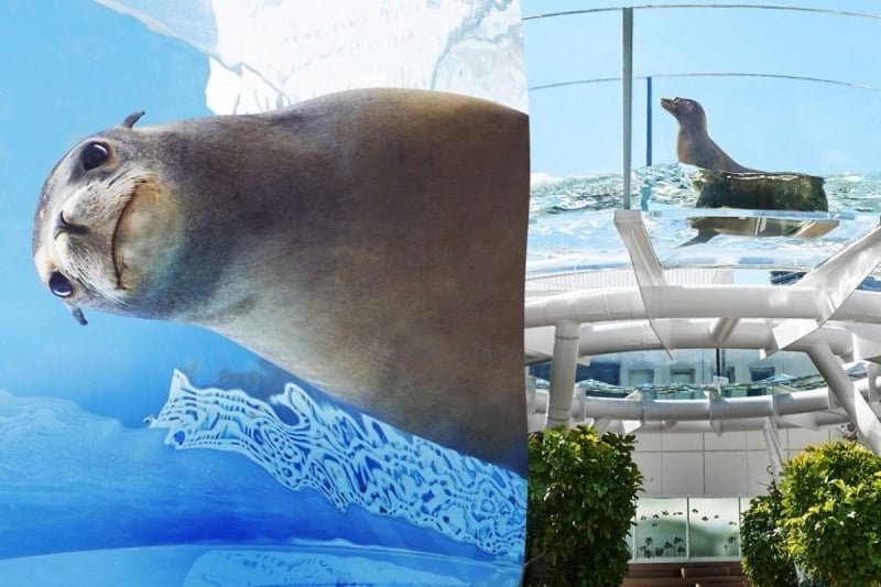 sunshine aquarium