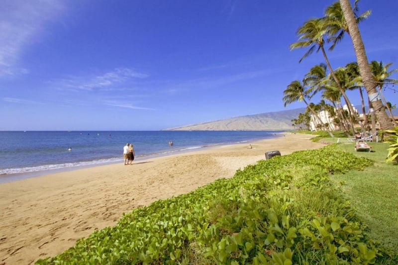 kihei kai oceanfront condos