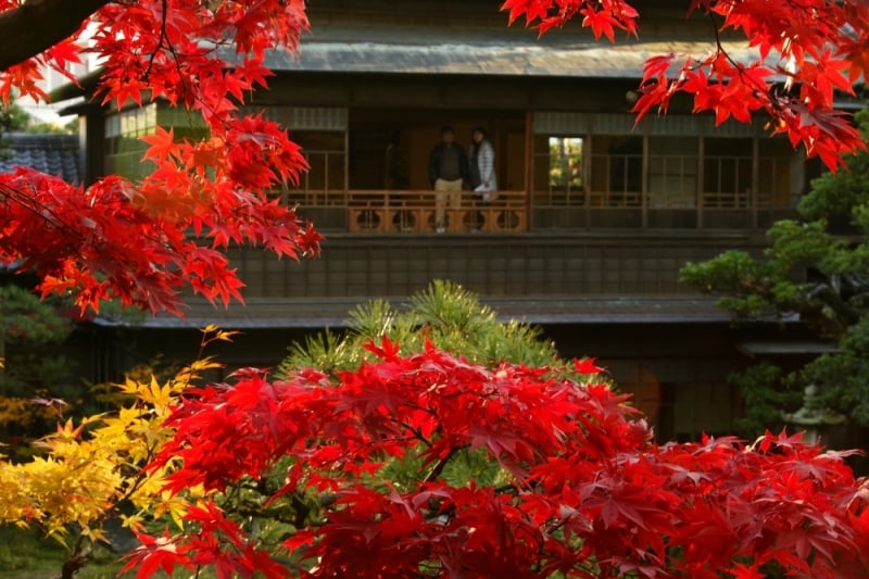 autumn viewing in Niigata