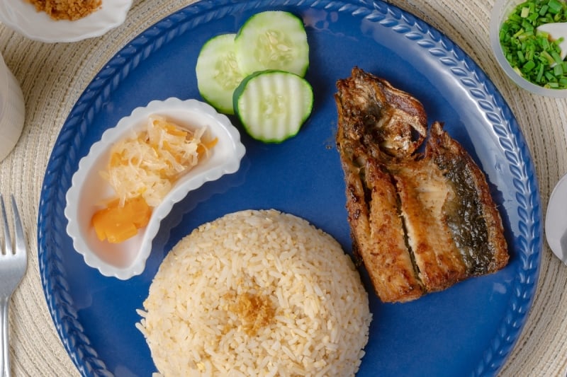 milk fish