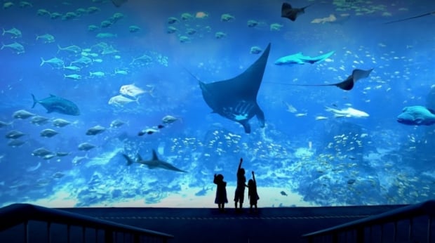 S.E.A. Aquarium Ticket at SGD28 with OCBC MasterCard