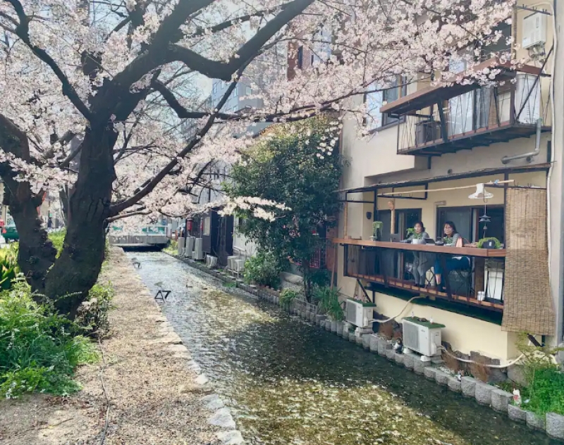 kyoto sakura airbnb