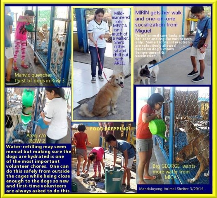 Mandaluyong Animal Shelter