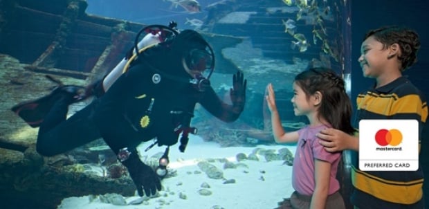 Mastercard® Exclusive: S.E.A. Aquarium Ticket Offer at SGD41