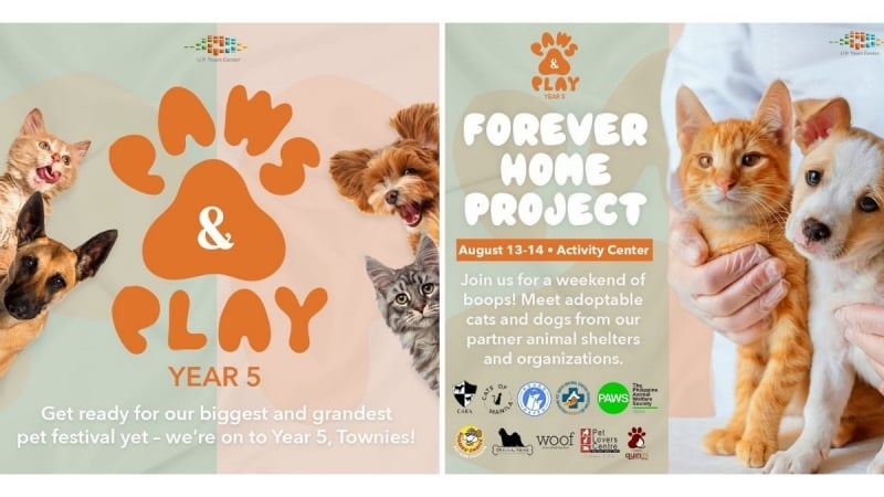 paws & play forever home project