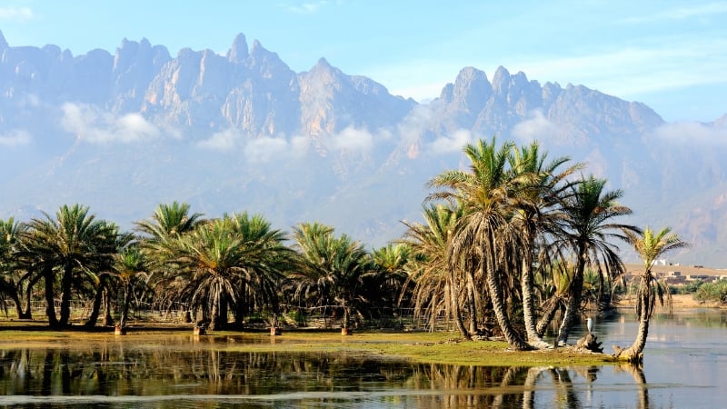 socotra island, yemen