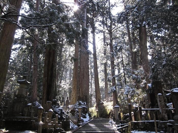 day trip osaka mount koya