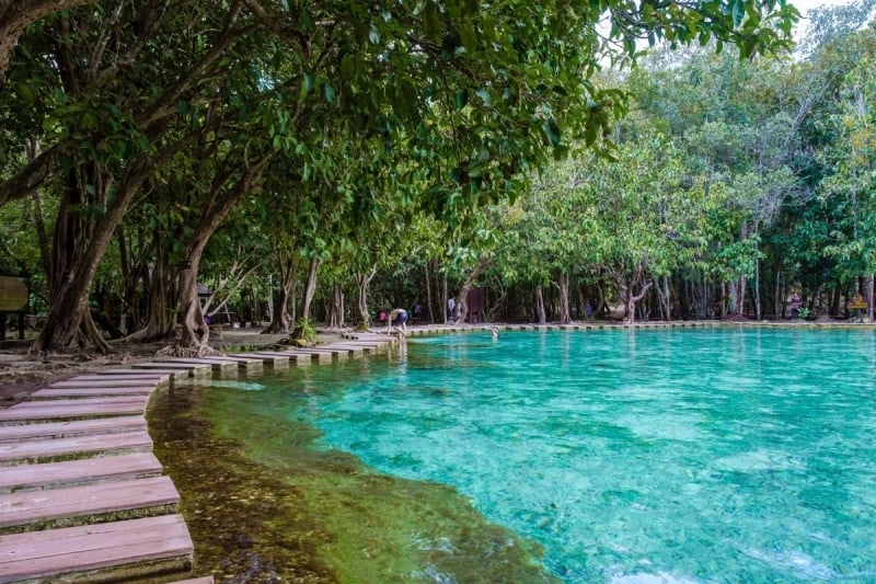 Emerald Pool - Krabi attractions 
