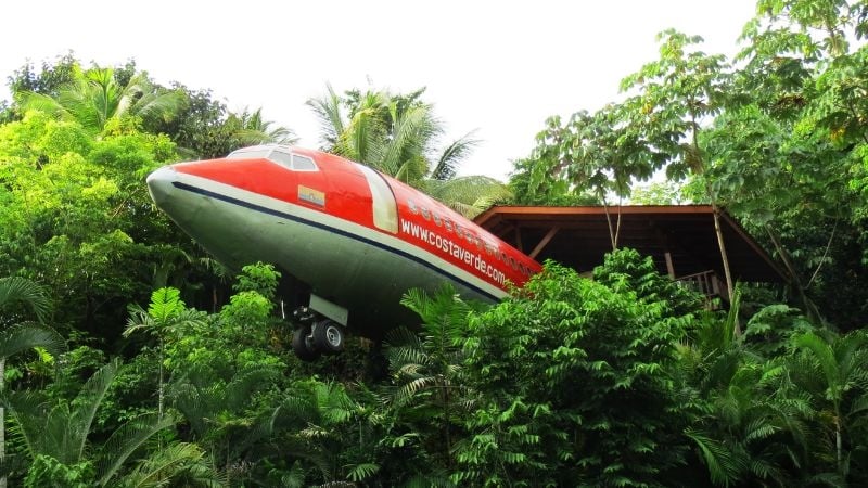 plane in tree