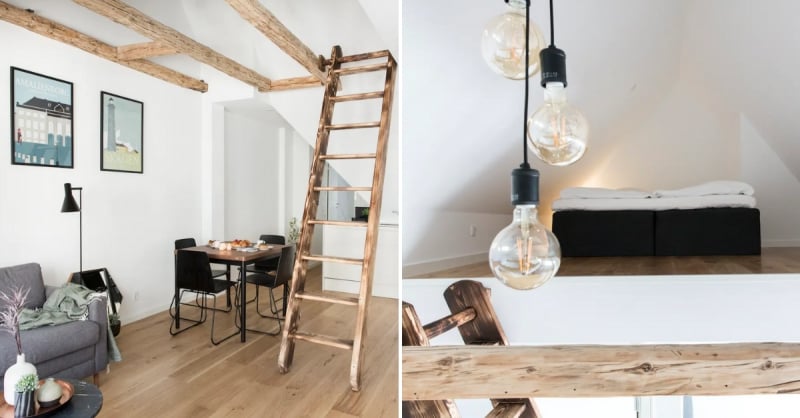 pet friendly airbnb copenhagen