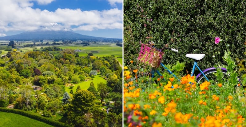 Hollard Gardens, spring in New Zealand