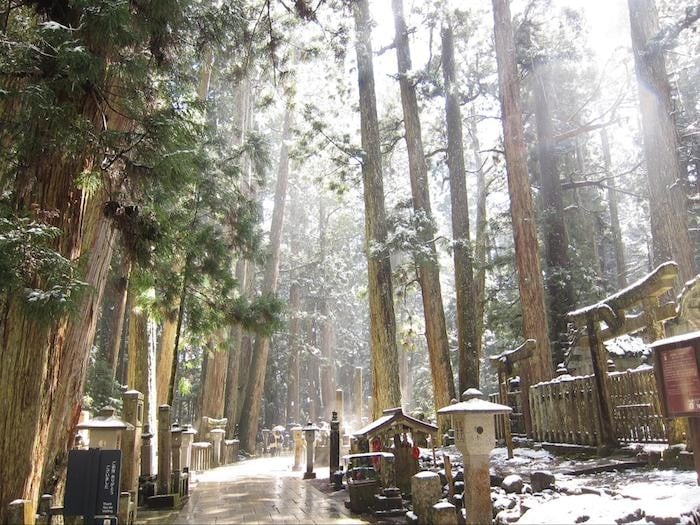 day trip osaka mount koya