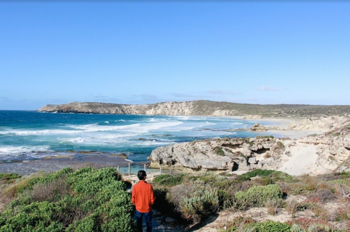 kangaroo island