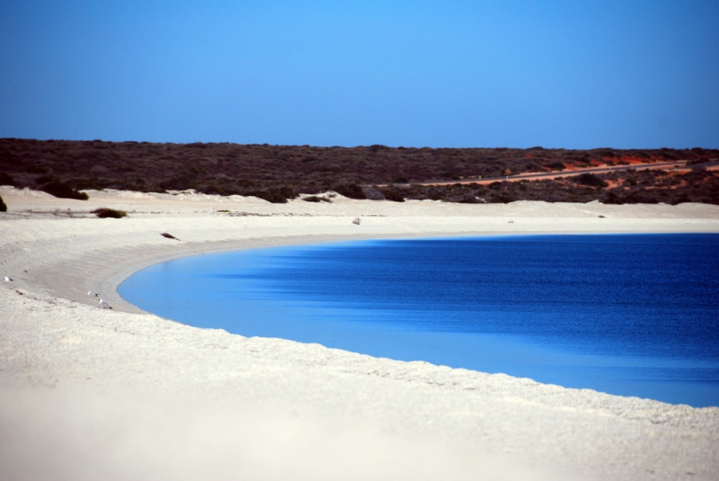 Shark's Bay Shell Beach, Western Australia