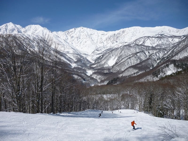 skiing at hakuba valley