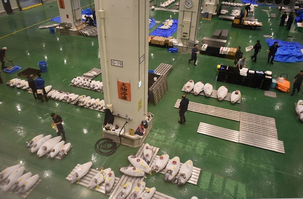 Tsukiji Market