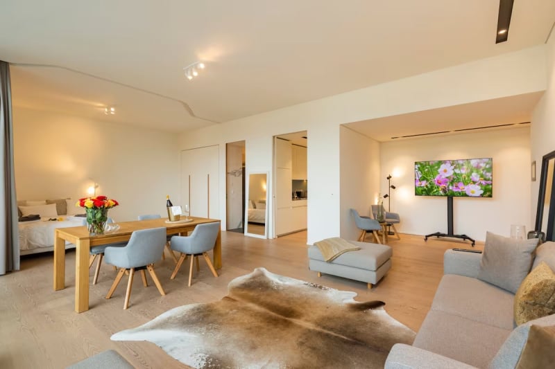 Airbnb in Zurich