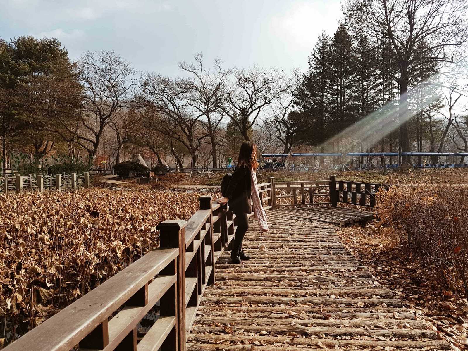 Nami Island