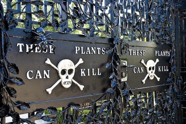 The Poison Garden Step Into The World S Deadliest Garden