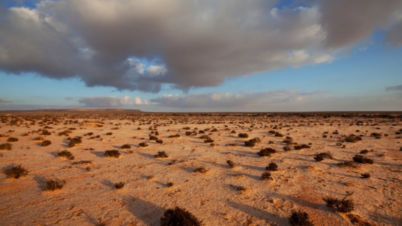 western sahara