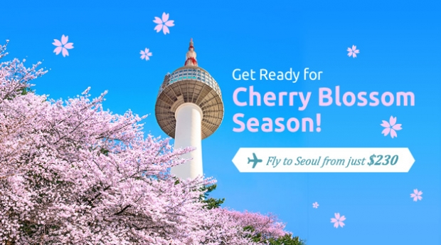 Experience the Cherry Blossoms in Korea with Travel Deals from hutchgo.com