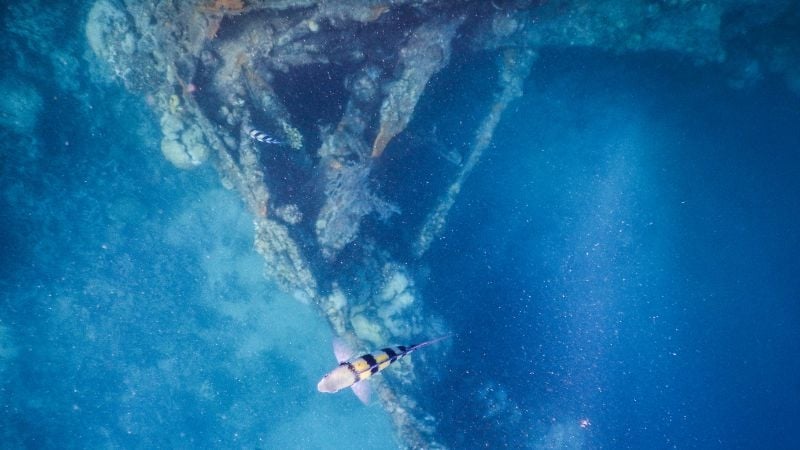 skeleton wreck coron