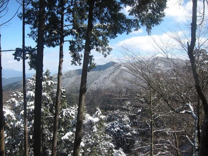 day trip osaka mount koya