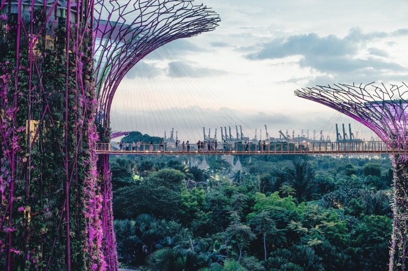 singapore gardens by the bay