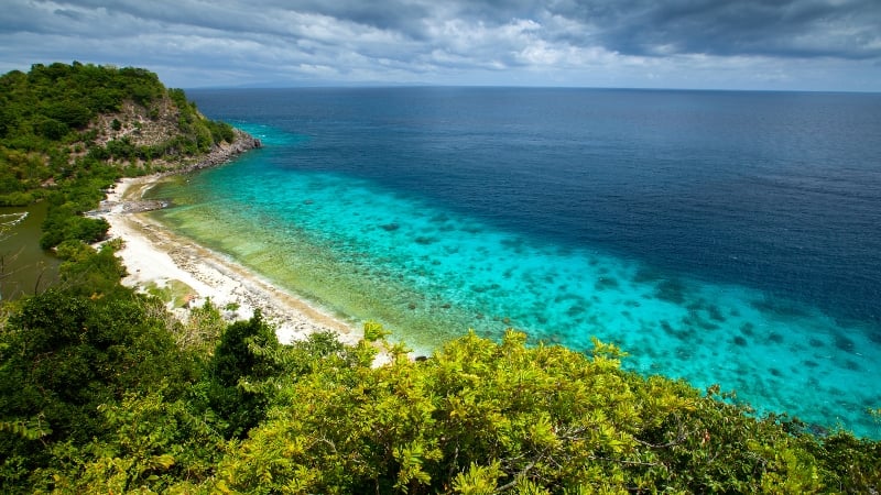 apo reef, philippines