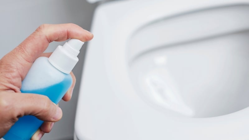 toilet seat sanitiser