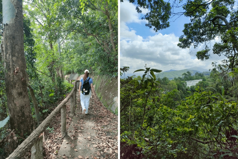 hong kong nature