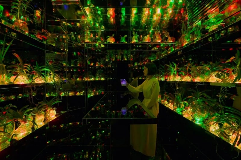 teamlab tokyo food