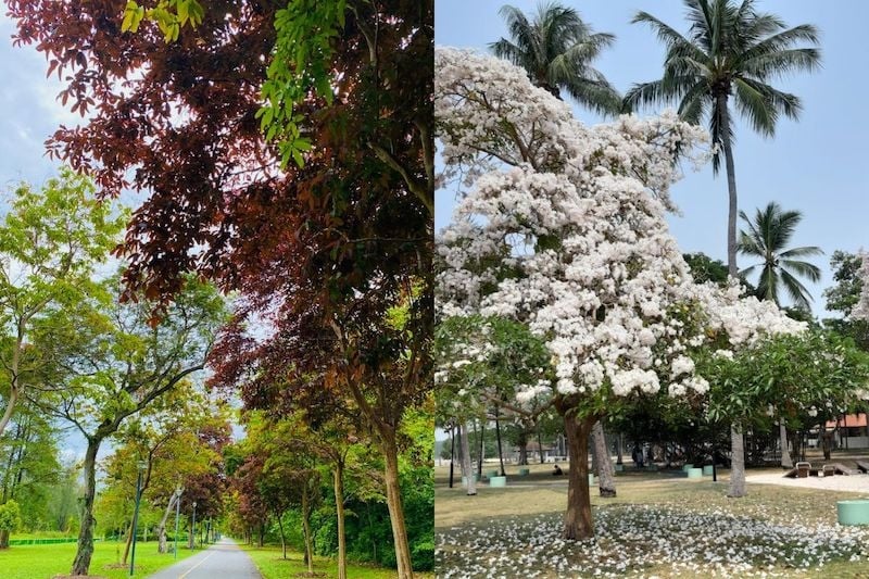 singapore parks