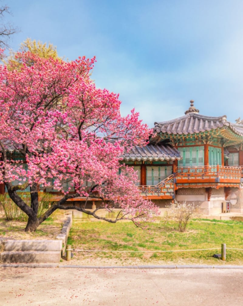 korean temple