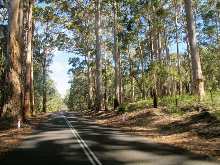 road trip in Western Australia