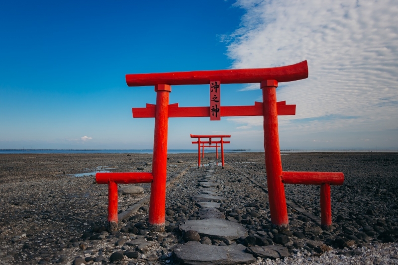 kaichu torii