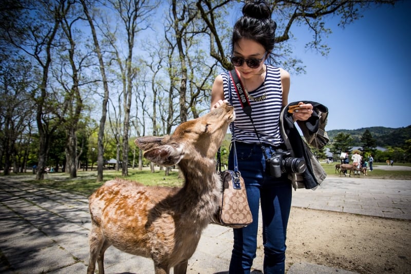 Nara Park