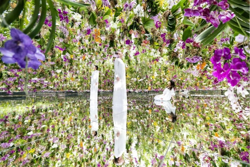 teamlab tokyo