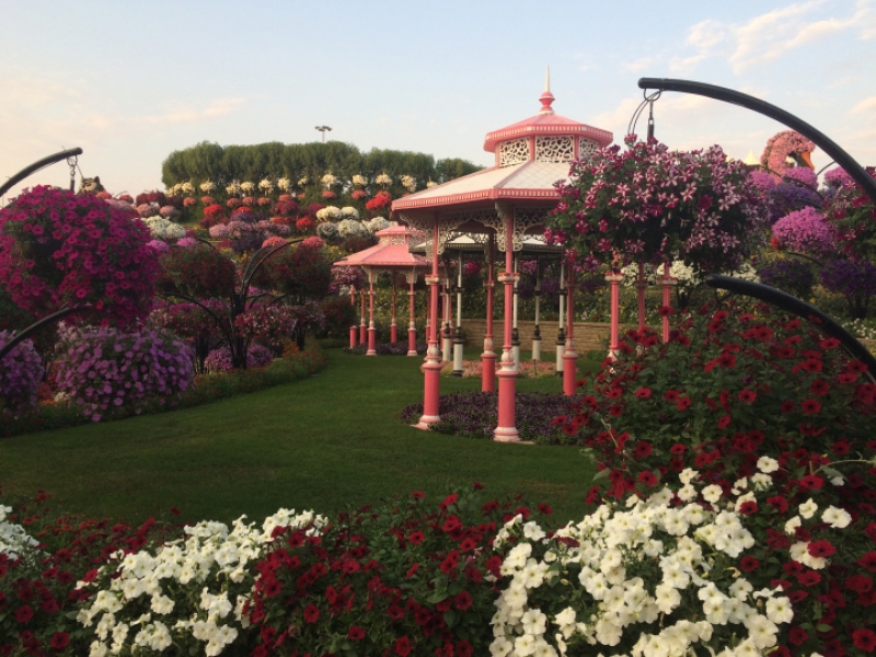 dubai miracle garden