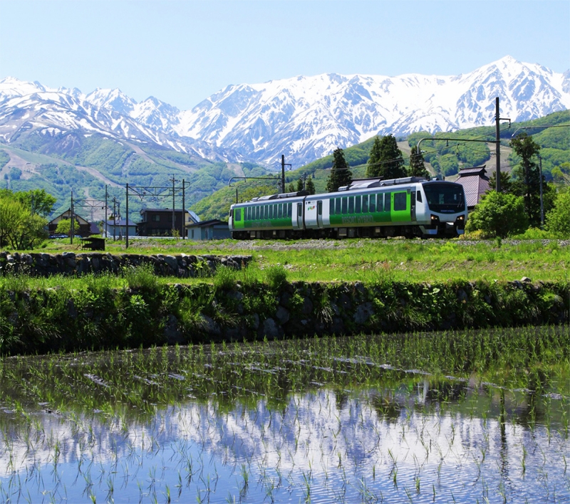 resort view furusato