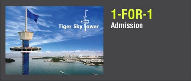 1-FOR-1 Admission in Tiger Sky Tower with NTUC Card