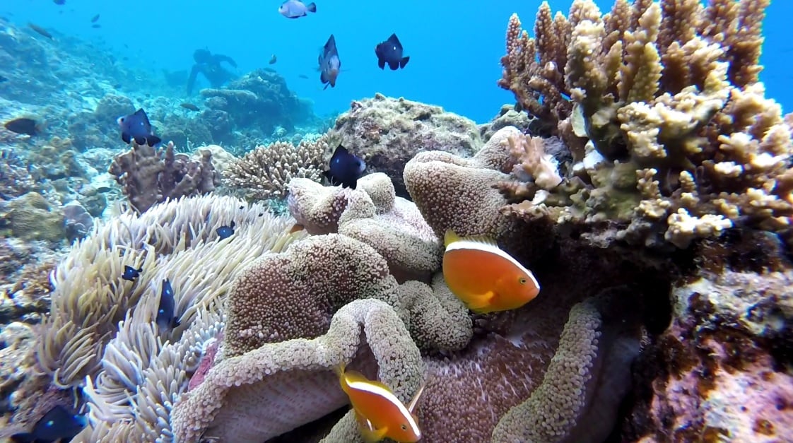 Matinloc snorkelling area