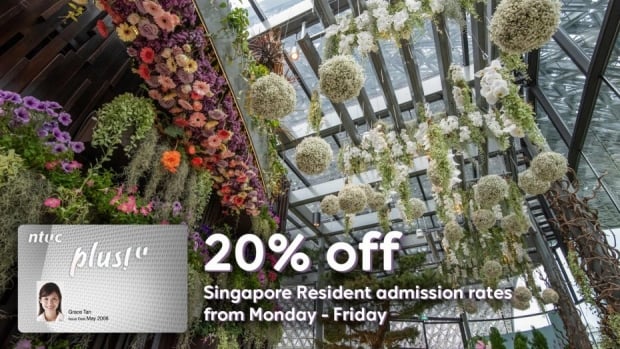 NTUC Plus! Card Promotion in Gardens by the Bay Singapore